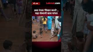 गोव्याच्या मार्सल गावात रंगला चिखल कालो उत्सव Goa Traditional mud festival Chikhal Kalo  SA5 [upl. by Eidde]