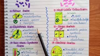 ExotoxinsBacteria exotoxinsExotoxins examples [upl. by Mcmahon]