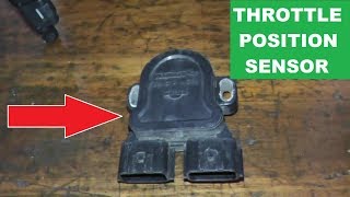 How To Replace and Adjust the Throttle Position Sensor [upl. by Ahseral]