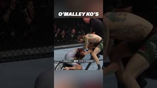 Every Sean OMalley Knockout ufc mma [upl. by Lucy277]