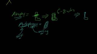 3  Introduction to Pathology  Atrophy Metaplasia [upl. by Chevy]