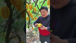 fruit naturallifeb satisfying naturalclips naturelife fruitcutting food amazing plants [upl. by Sisto]