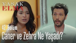 Caner ve Zehra yoksa  Yasak Elma 42 Bölüm [upl. by Assenyl]