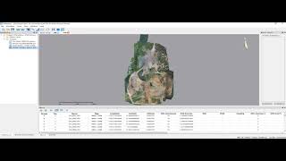 LiMapper  Processing Photogrammetry Data Tutorial [upl. by Arriek]