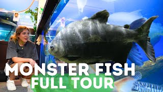 Worlds LARGEST Monster Fish FULL Tour at Ohio Fish Rescue [upl. by Campy193]