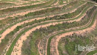 Vidéo aérienne du Vignoble du Layon à St Aubin de Luigné [upl. by Ecyor]