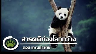 สารคดีท่องโลกกว้าง ตอน หมีแพนด้ายักษ์ [upl. by Notsniw]