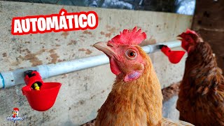 Cómo instalar BEBEDEROS AUTOMÁTICOS para gallinas 🐔🐓 Crea tu Propio Sistema Automatizado [upl. by Arvo]