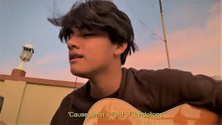 Ruth B  Dandelions male cover by Arron Rebustes with lyrics [upl. by Moitoso]