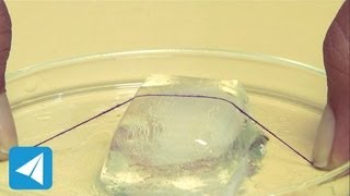 Length of string sinks into ice due to regelation  Pressure  Physics [upl. by Chrissy]