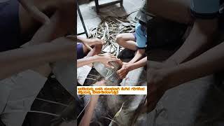 SUPW project by govt school studentscoconut stick broommaking best out of waste [upl. by Adolpho247]