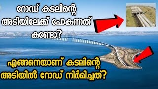 How was this Oresund Bridge built  ഡെന്മാർക്കിനെയും സ്വീഡനെയും ബന്ധിപ്പിക്കുന്ന ഒറീസുണ്ട് പാലം [upl. by Ahsaf]