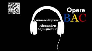 Costache Negruzzi  Alexandru Lapusneanul  Nuvela istorica  OPERE BAC [upl. by Azmuh679]