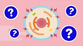 Emerging Therapeutics for APOL1Mediated Kidney Disease [upl. by Alpert]