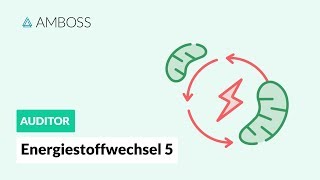 Energiestoffwechsel Teil 5 mit Molekülstrukturen  BetaOxidation  AMBOSS Auditor [upl. by Kathlin]