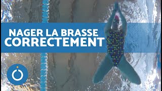 Apprendre à NAGER LA BRASSE 🏊🏼‍♂️ Technique de brasse [upl. by Cinamod]