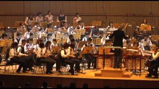 Beautiful  Nanyang Polytechnic Chinese Orchestra [upl. by Lain]