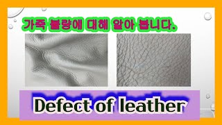 14가지 유형의 가죽의 불량 14 Types of leather defects [upl. by Prudi]