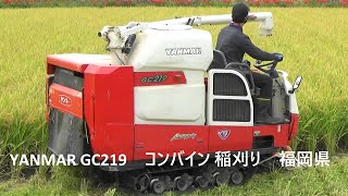 YANMAR GC219 コンバイン稲刈り 福岡県YANMAR GC219 Combine Harvesting Fukuoka Prefecture [upl. by Schmitt689]