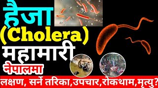 CHOLERA HISTORY IN NEPALIहैजाCholeraको नेपाली इतिहासनेपालमा फेरि पनि महामारी परिचयलक्षणउपचार [upl. by Ardnasella]