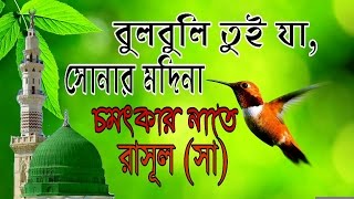 বুলবুলি তুই যা সোনার মদিনাNew bangla naate rasulSAW 2017 [upl. by Rehm]