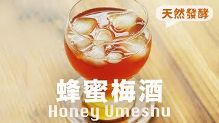 3 年陳釀 ❇️ 封神青梅酒配方🍑15年釀齡不私藏 Homemade Umeshu Choya Recipe beanpandacook [upl. by Lletnahc]