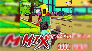 MIX CHACALERIA 2020 😈🔫  PLENAS NUEVAS  PANAMÁ 🇵🇦  TENDENCIA YOUTUBE 🔥  MUSICA NUEVA  GHETTO 🎶 [upl. by Grace684]