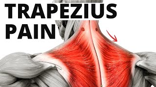 4 Trapezius Muscle Pain Exercises My GoTo For Quick Relief [upl. by Grefe]