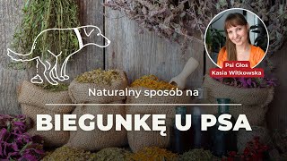 Naturalny sposób na biegunkę u psa i kota  kora wiązu czerwonego  skuteczny i bezpieczny suplement [upl. by Edmead]