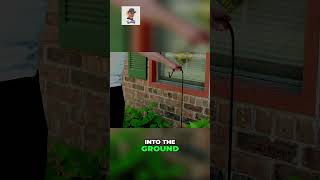 Welcome Remarkable Hummingbirds  Install a Feeder It’s So Easy [upl. by Vorster]