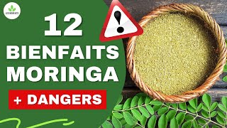 MORINGA  SES BIENFAITS ET DANGERS POUR LA SANTÉ PLANTE MIRACLE [upl. by Nedi]