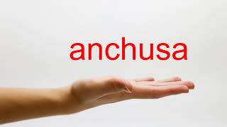 How to Pronounce anchusa  American English [upl. by Anwahsat]