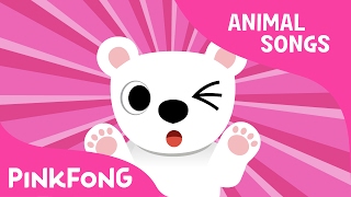 Paw Paw Polar Bear  Polar Bear  Animal Songs  Pinkfong Songs for Children [upl. by Tiram578]