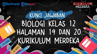 Kunci Jawaban Biologi Kelas 12 Halaman 19 dan 20 Kurikulum Merdeka Menganalisis Tahapan Glikolisis [upl. by Sanjay]