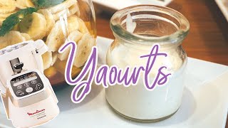 Recettes Yaourtière Lagrange — YAOURTS [upl. by Abbi818]