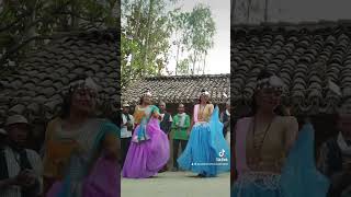 Tharu Cultural Dance nepalimusic tharusong tharu tharucommunity tharugirl tharudance shorts [upl. by Rockey]