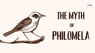 The Myth of Philomela  Ovids Metamorphoses [upl. by Wu45]