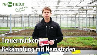 Trauermücken mit Nematoden bekämpfen [upl. by Jovia560]