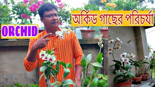 How to care for orchid plant BengaliEasy step for beginners [upl. by Zoubek]