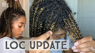 Starter Locs Two Strand Twist Method  23 Week Loc Update Loc Journey [upl. by Annnora]