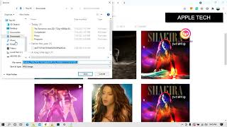 How to Download Instagram Photos amp Videos on pc 2021 Fastsave [upl. by Adnolay]