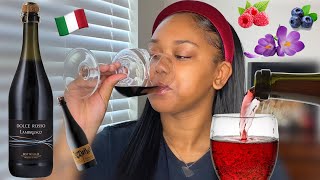 Wines You Should Be Drinking Lambrusco 🍇 BEGINNER FRIENDLY [upl. by Ileane]