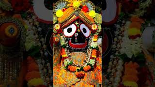 Jagannath Ji Puri Temple 🙏 Rath Yatra Special 🙏 Coming Soon 🙏 Jai Jagannath Ji 🙏 youtubeshorts 🙏 [upl. by Flosi]