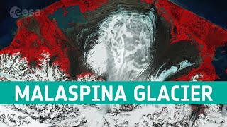 The moraines of Malaspina  Earth from Space [upl. by Ennaecarg]