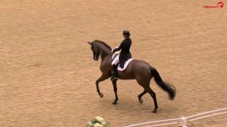 Dorothee Schneider  Sammy Davis Jr  Grand Prix  Herning Horse Show 2017 [upl. by Anitnoc]