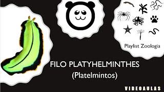 Filo Platyhelminthes Os Platelmintos [upl. by Lehplar952]