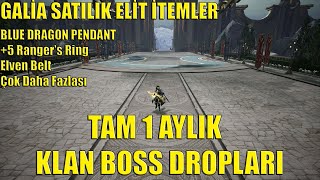 Rise Online Tam 1 Aylık Klan Boss Dropları  Satılık Elite İtemler [upl. by Ho367]