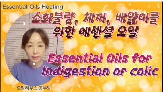 소화불량 체기 배앓이 Essentialoils for Indigestion Colic [upl. by Briscoe]