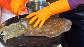 Amazing Giant Cuttlefish  Tuna、Eel 、Sunfish  Cutting and Cooking [upl. by Savil529]