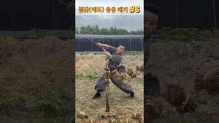 진검베기  짚단예도 응용 베기 3 straw swordsmanship cuttingskills martialarts korea sword [upl. by Silber]